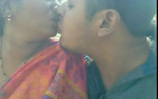 indian love birds in park