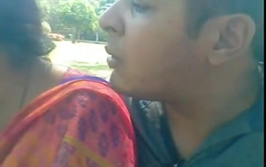 indian love birds in park