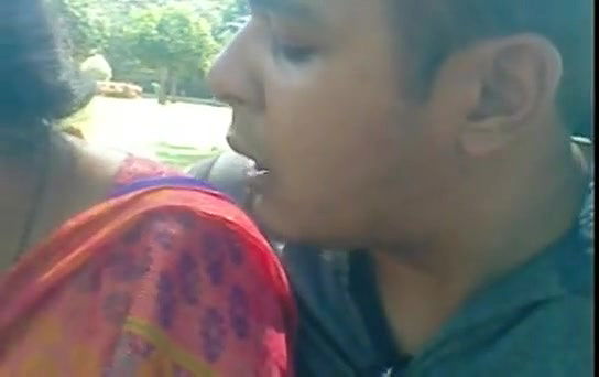 indian love birds in park