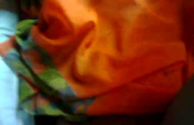 jaipuri bhabhi fucked during her periods