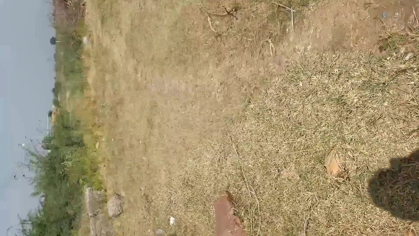 Bridge nichey chudayi outdoor village sex