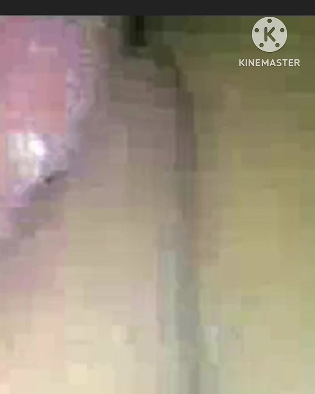 Deshi couple Sex rom sex viral video