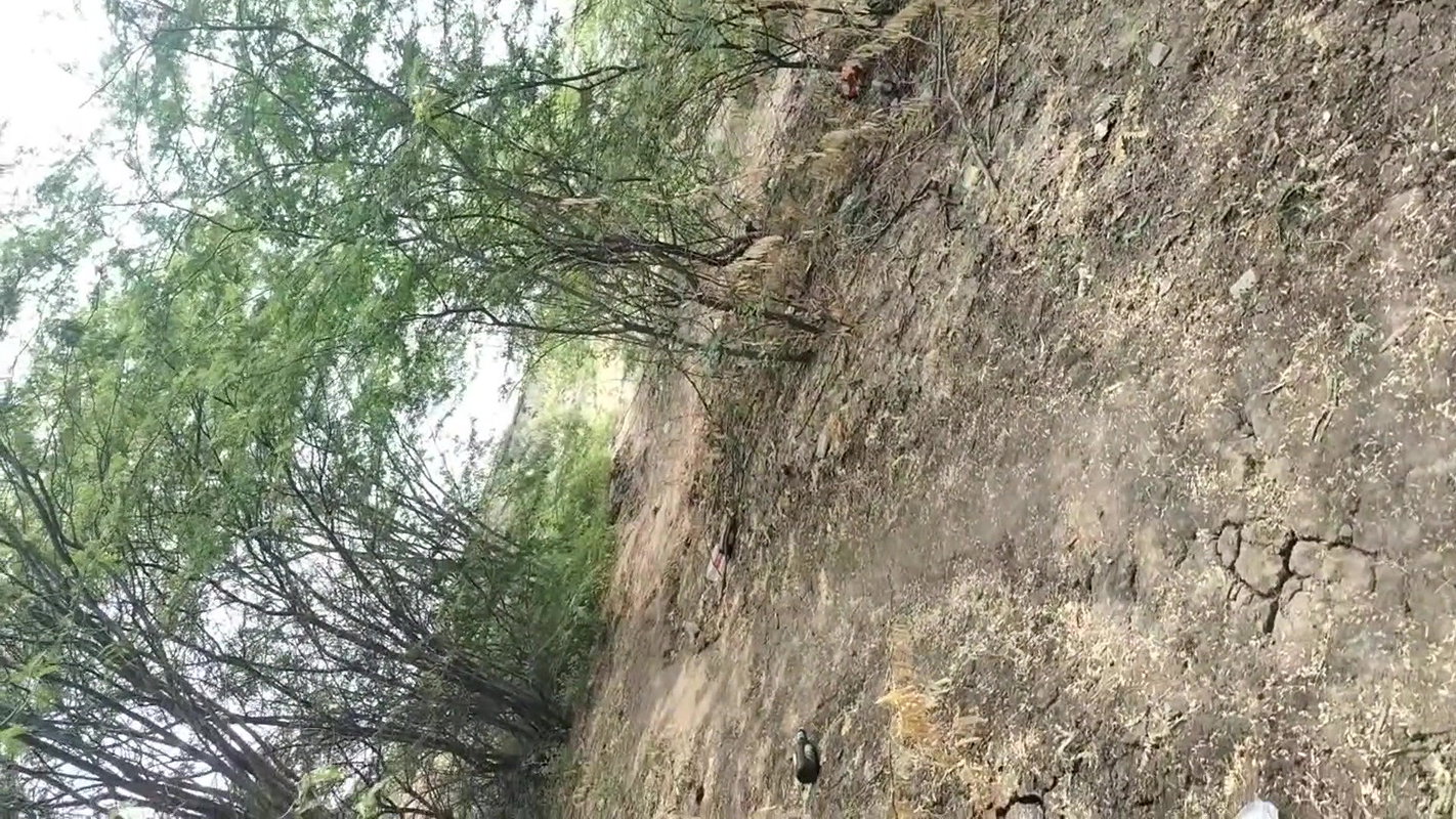 Desi aunty railway bridge key nichey chudayi