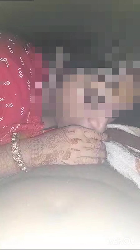 Desi bhabhi sucking her lover cock in defferent ways