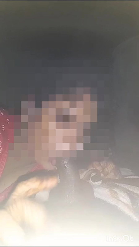Desi bhabhi sucking her lover cock in defferent ways