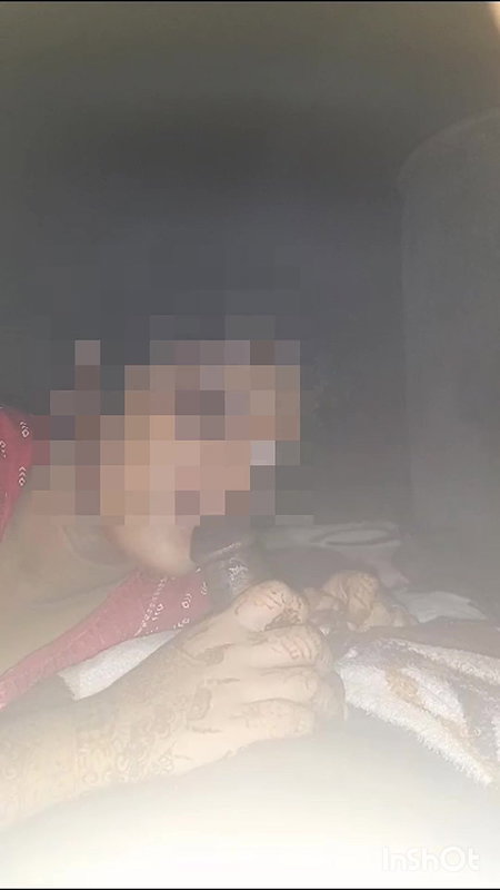 Desi bhabhi sucking her lover cock in defferent ways
