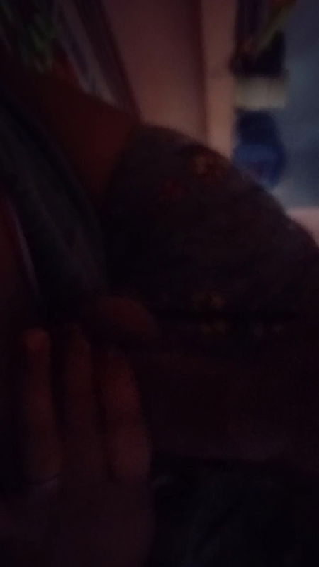 Desi bhabi , gr me akeli bhabi ne land land chusa Desi bhabi blowjob