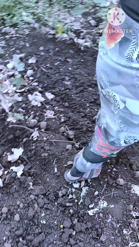 Desi Girl friend Ko MC Chalu hi Khath me Boobs show