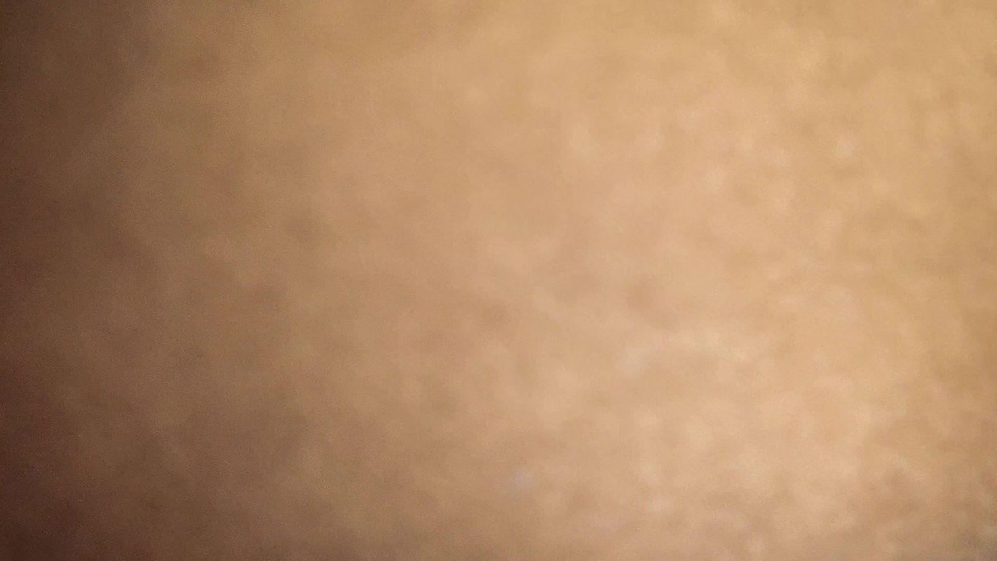 Desi indian hot sexy couple enjoying blowjob