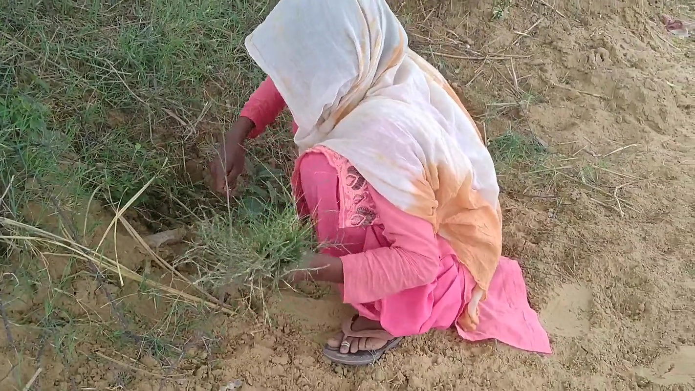 Desi jija sali best Indian webseries sex hot Hindi audio real