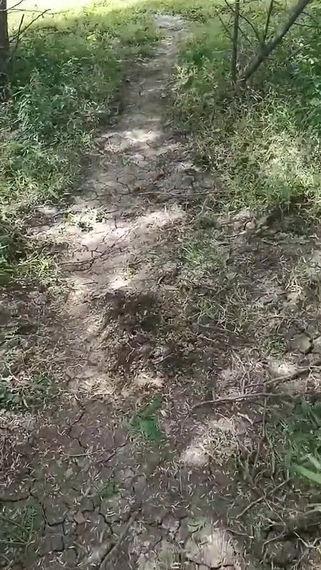 Desi step aunty out door sex video