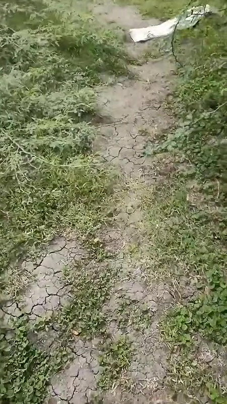 Desi step aunty out door sex video