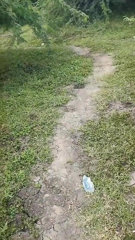 Desi step aunty out door sex video