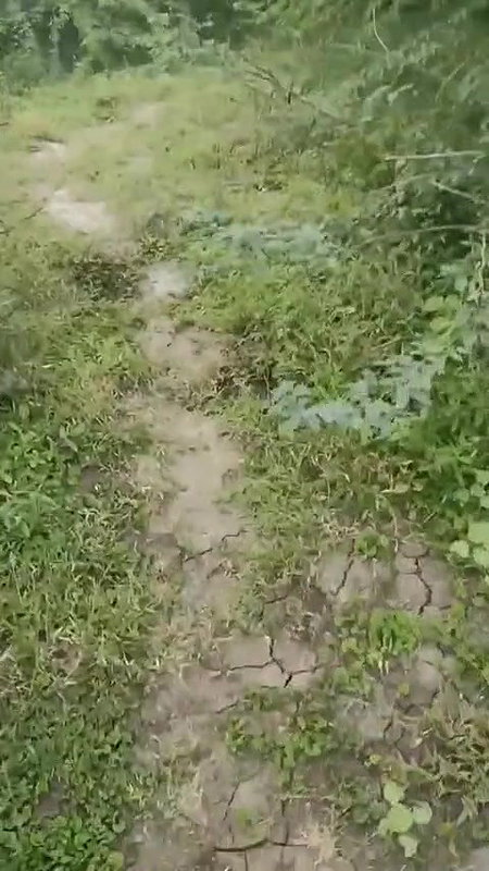 Desi step aunty out door sex video