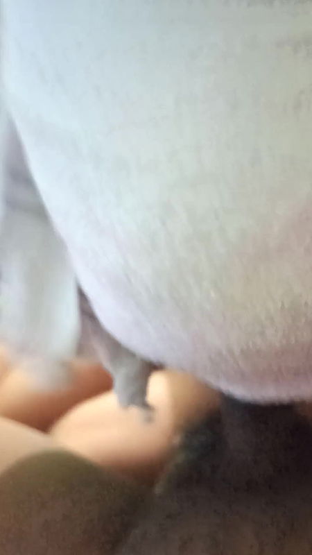 Desi stepsister sucking like a pro. Throbbing Indian Blowjob with cum swallow