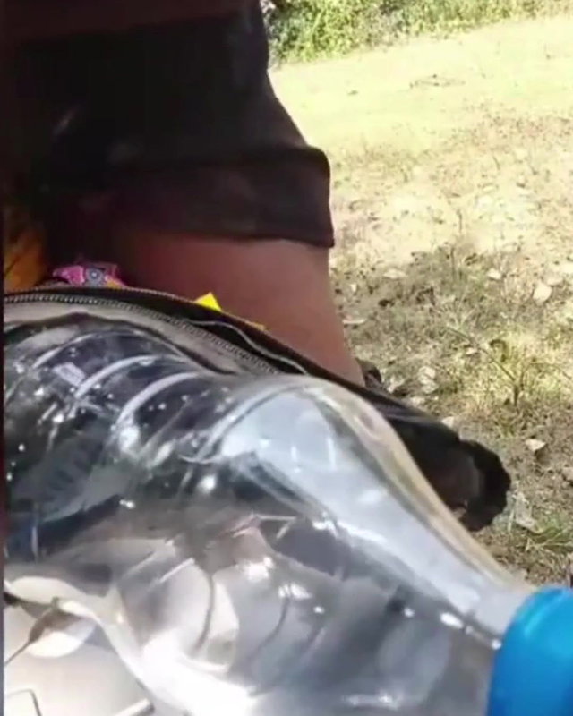 Desi Videos Local Sex Videos