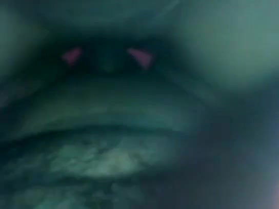 newly married chandigarh coupleex tape