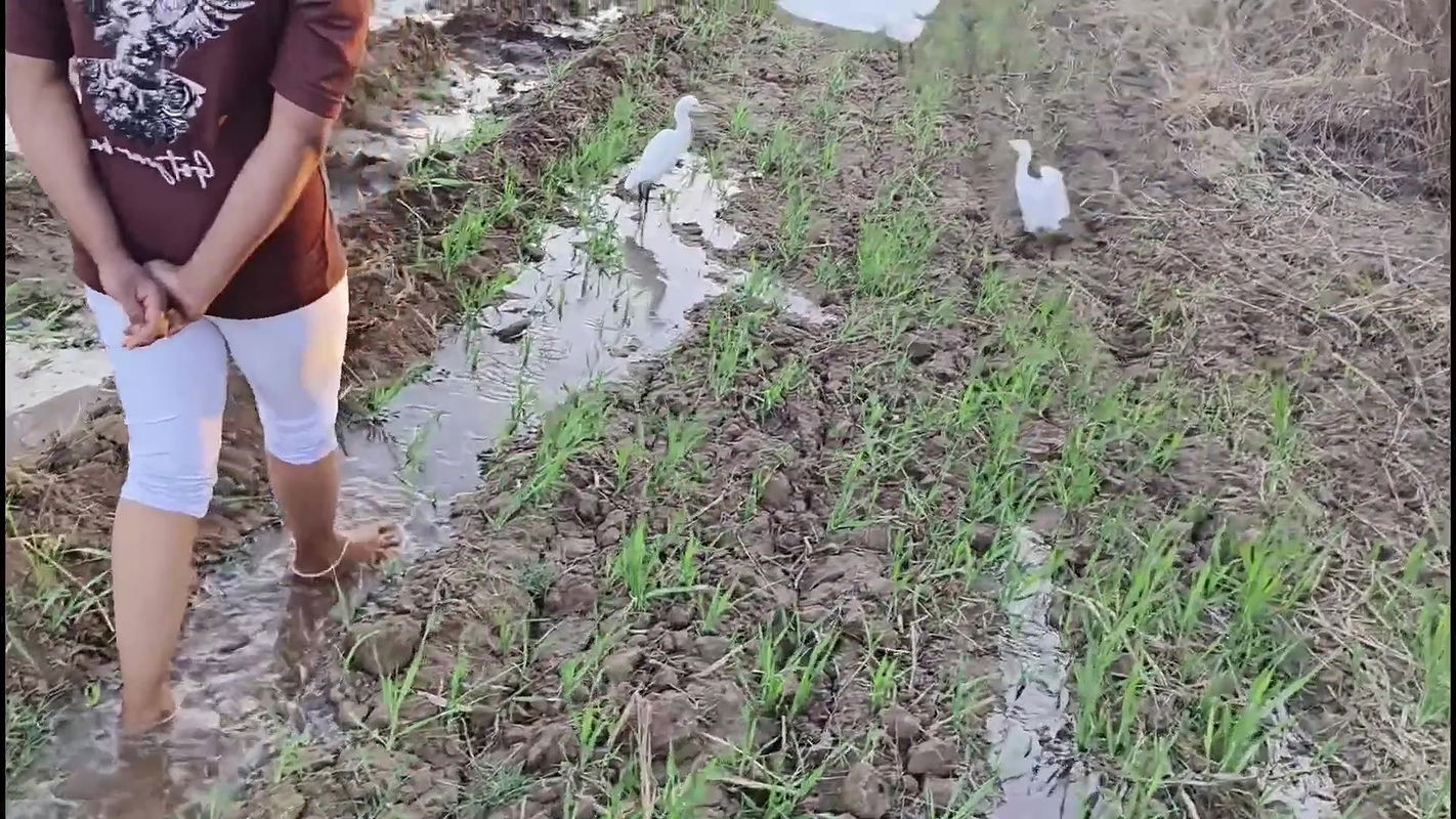 indian hot young girl Soniya seduced and fucked by landlord when she was in trouble Hindi Audio