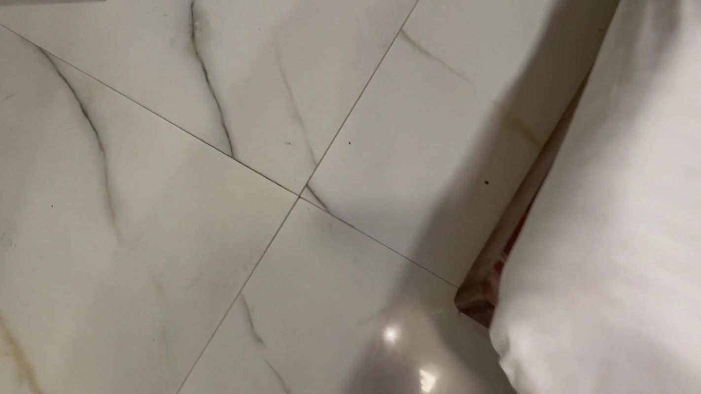 indian stepsister teach sex to stepbrother