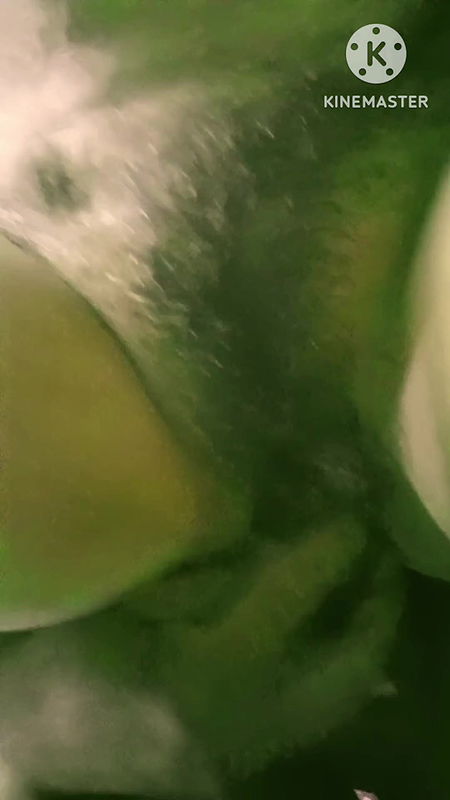 indian village bhabhi bedroom show me boobs and pussy and get her ex lover husband out of work and lover friend enjo