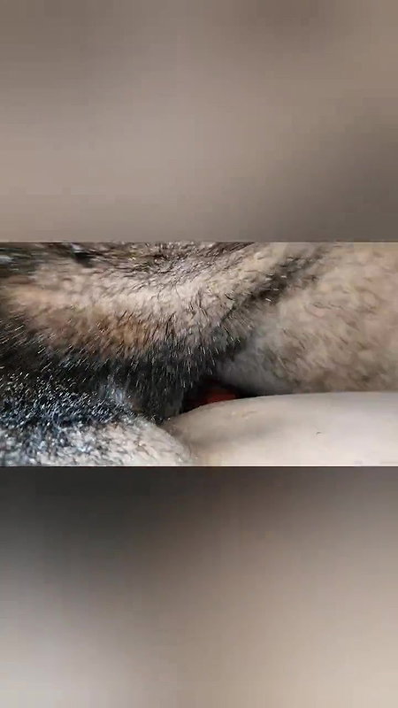 Indian Village bhabhi ji ki bhan ku mana chudai kiaa