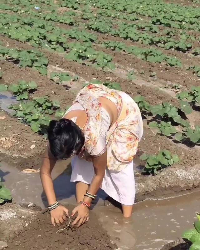 Indian village girl by taking her to jungle