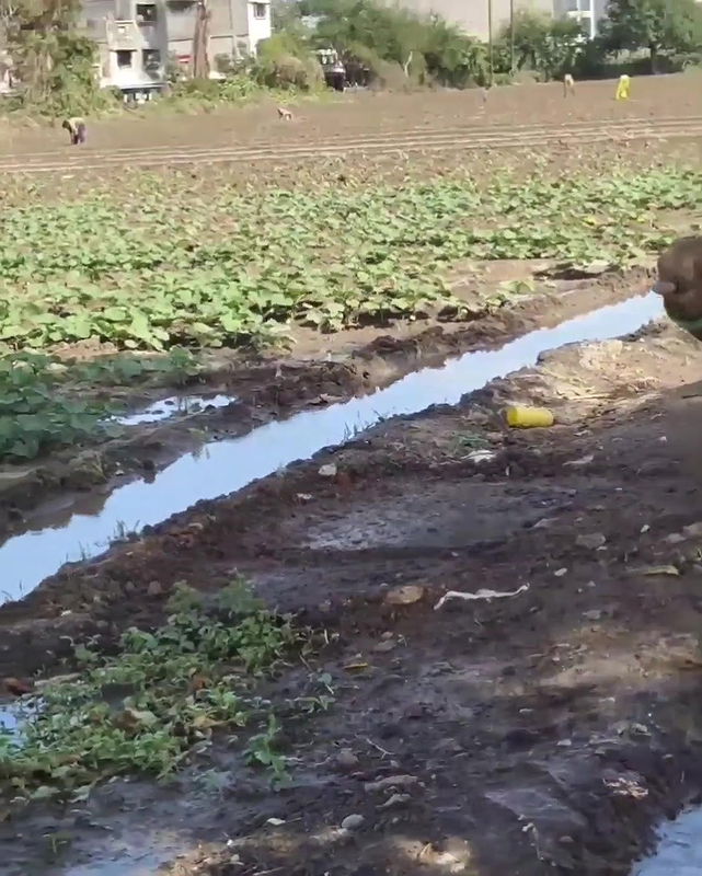 Indian village girl by taking her to jungle