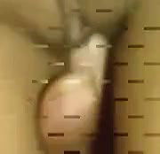 paki wifeharing friend wife hubby filming