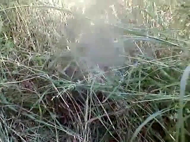 ardarni with her husband fucking in outdoor fields in amritsar