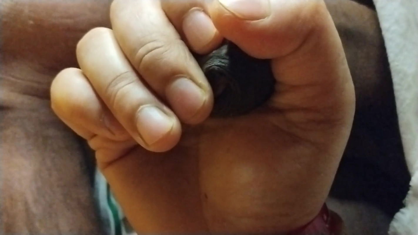 Hindi bhabhi dirty talking infront of husband