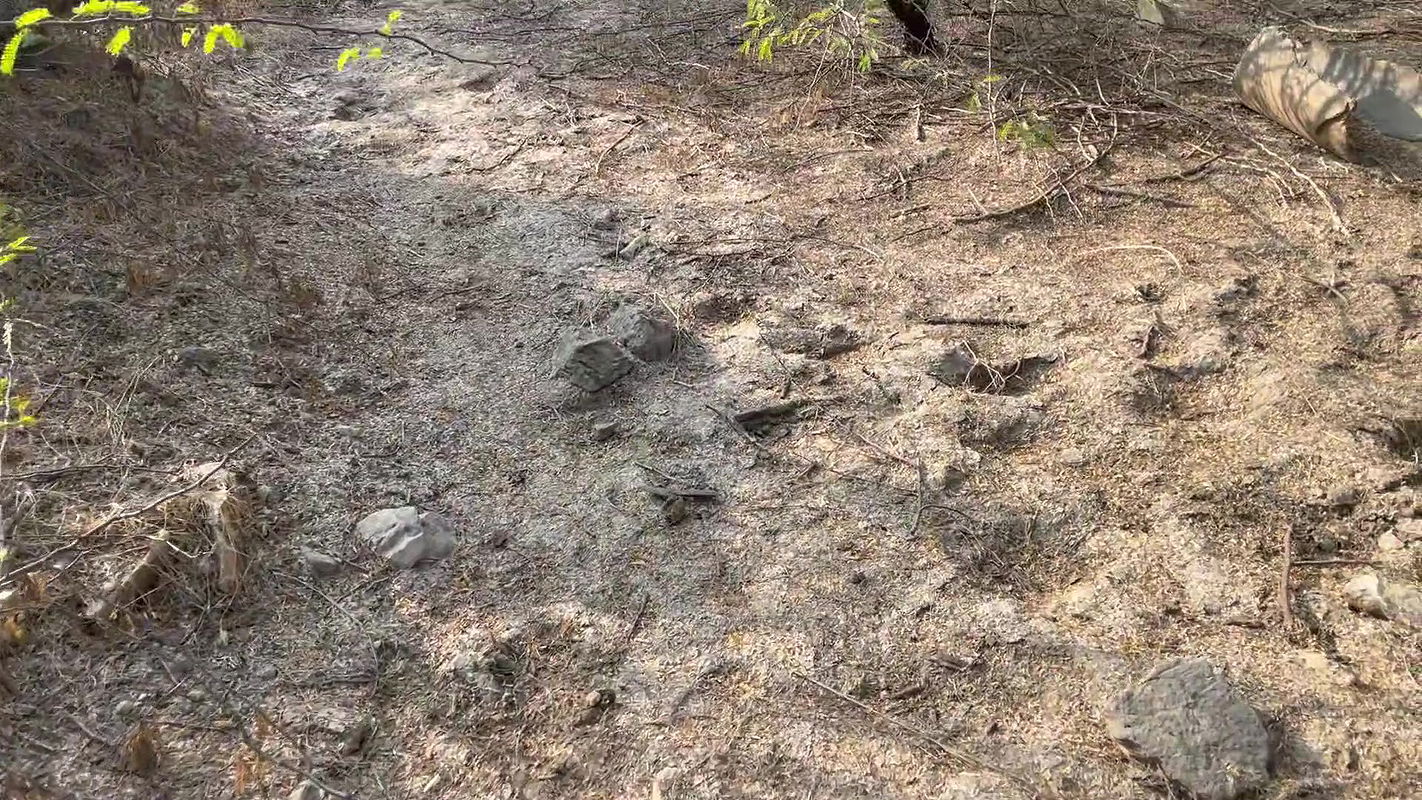 EX GIRLFRIEND SEDUCED AND FUCKED ROUGHLY, WHILE SHE WAS ALONE IN JUNGLE