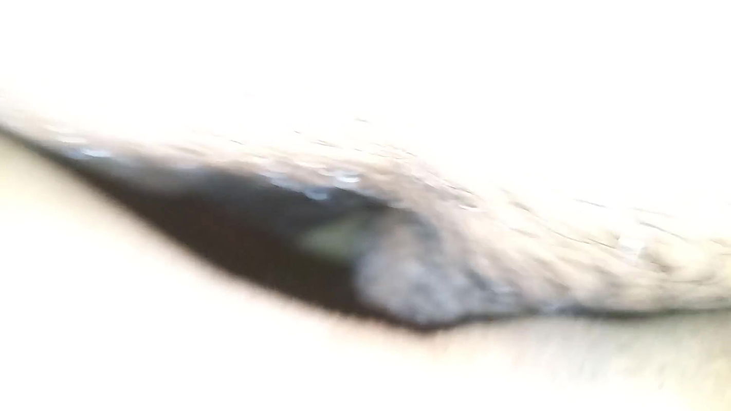 Brother-in-law, fuck harder, I’m enjoying it, put the whole cock in, jerk and fuck harder, I’m enjoying it, put the penis in your mouth