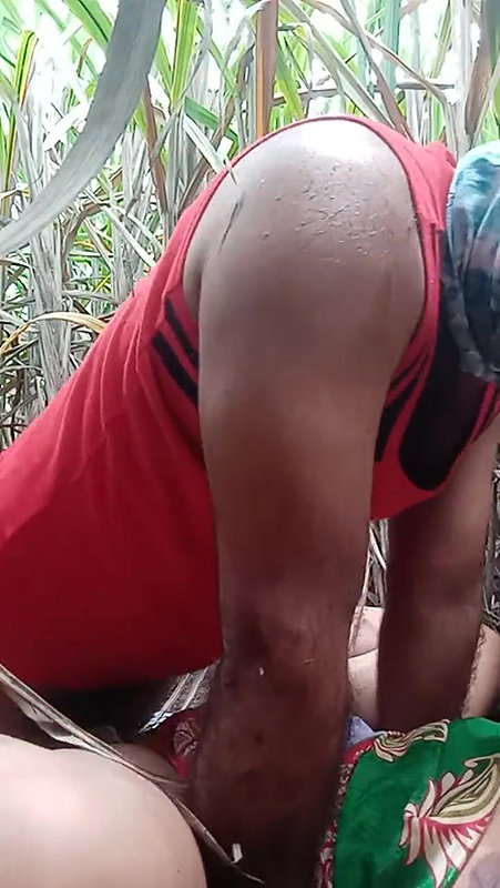 Ganne ke khet me chudai 2