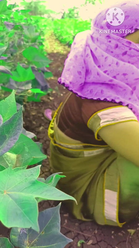 Gave ki Aurath ko Khathi Me Chadaa full HD Videos full Voice Videos Desi Rasli Chutha Kaa Majaa Keye