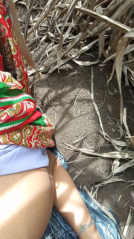 Ganne ke khet me ghody banake chudai