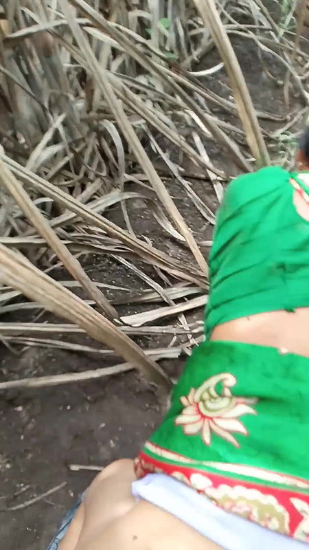 Ganne ke khet me ghody banake chudai