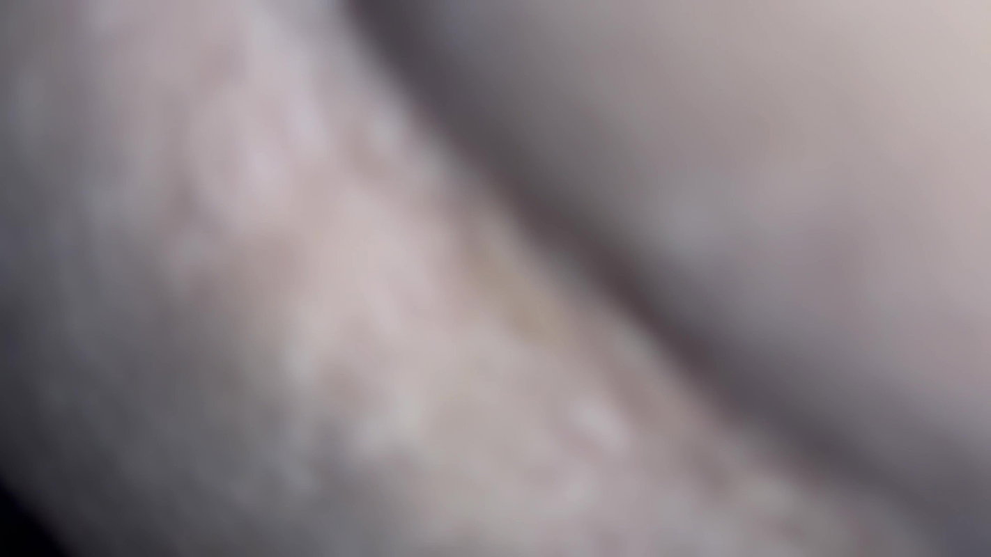 Hardcore Pussy Fuck closeup doggy style fuck