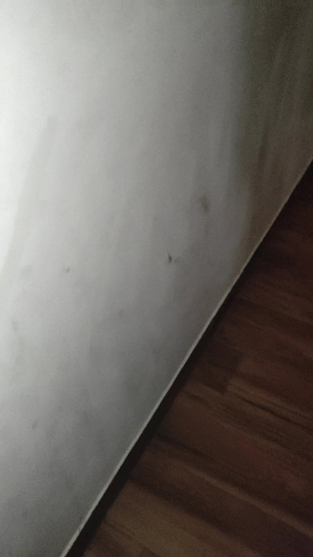 Gurgaon High profile horny bhabhi in hotel