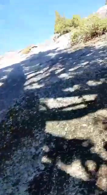 Pakistan Forest Fuck