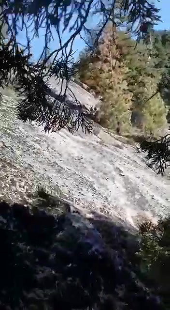 Pakistan Forest Fuck