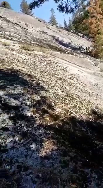 Pakistan Forest Fuck