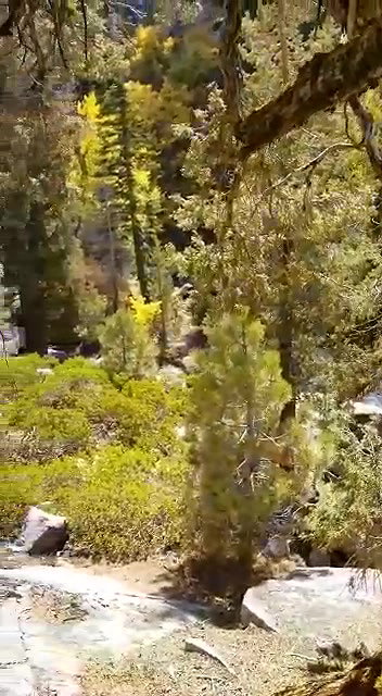 Pakistan Forest Fuck