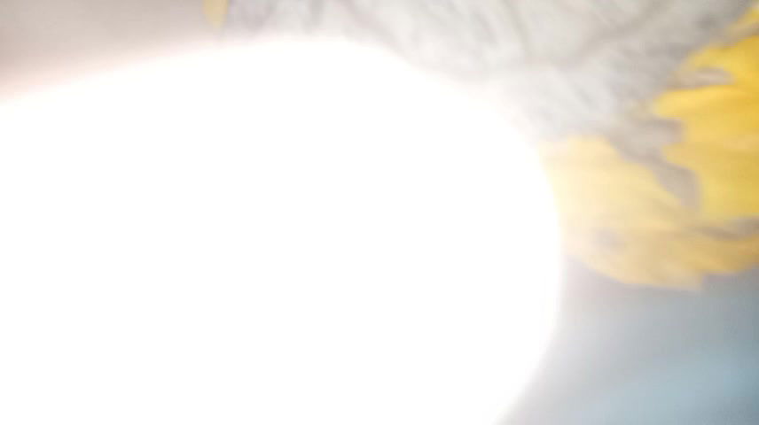 Husband Wife home made sex