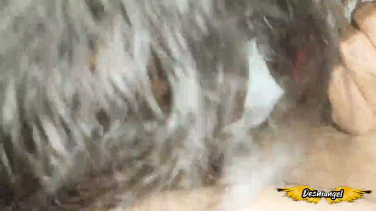 Indian girl best Riding Sex & deepthroat blowjob,Desi girl best hard core Chudai & Land chusai, Deshiangel