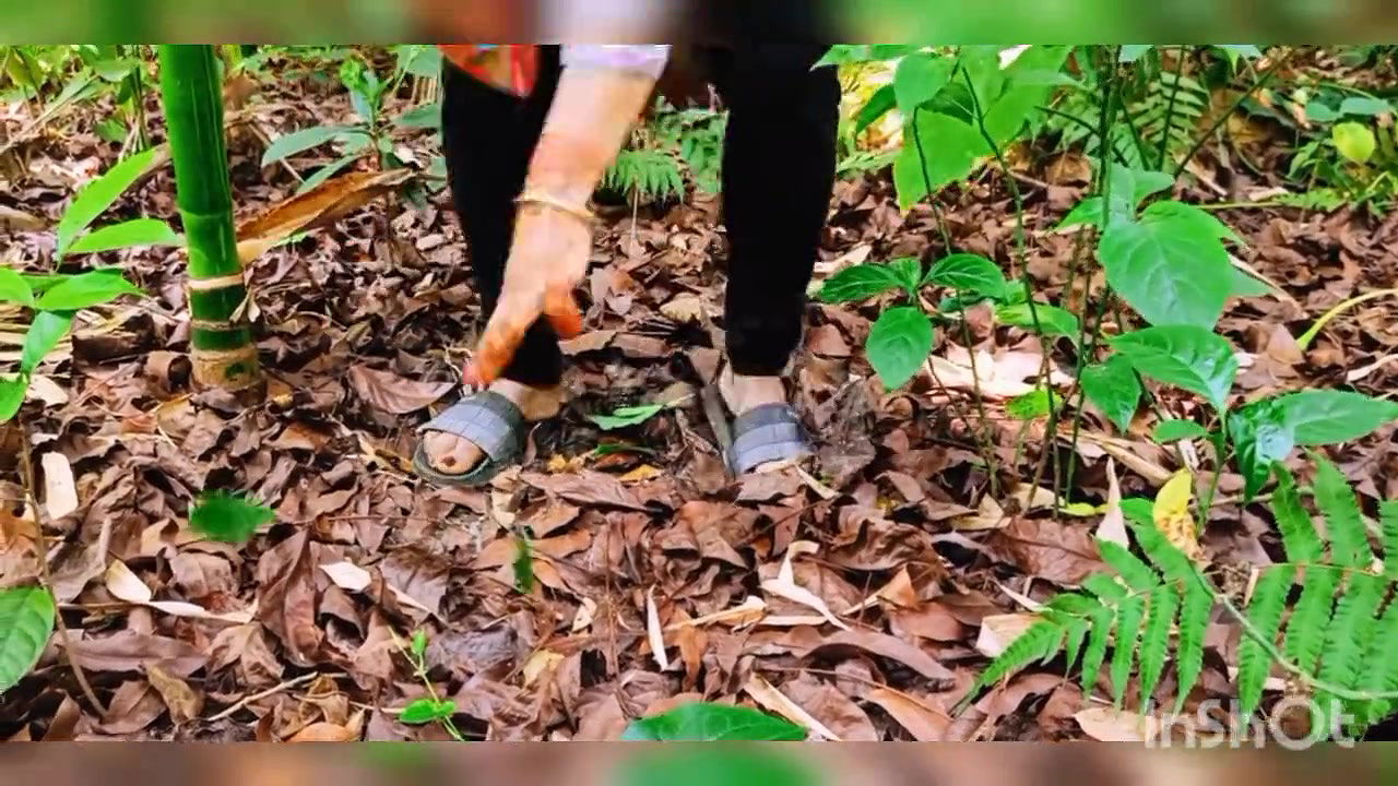 Indian bhabi devar outdoor public area sex video