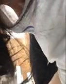 cousinister downblouse nipple visible