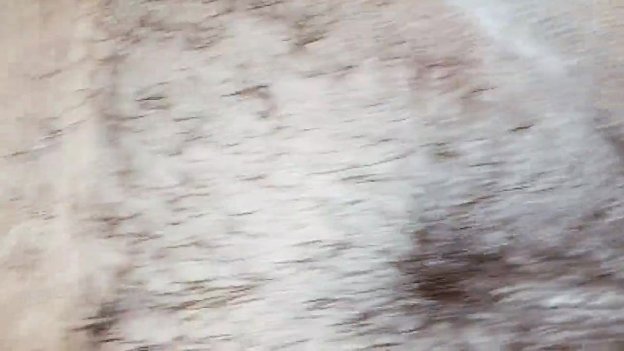 Bengali boudi dirty sex in the midnight