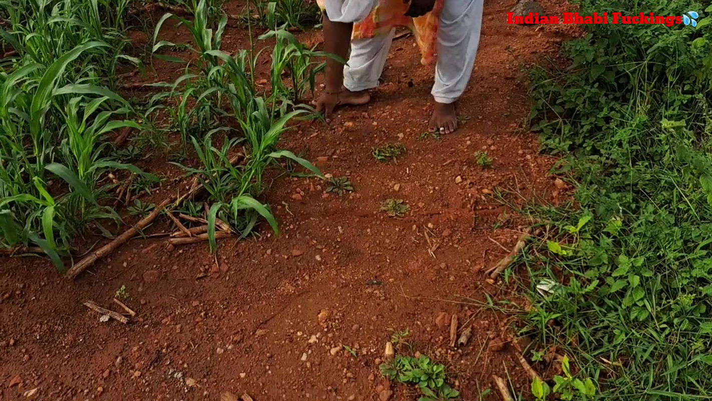 Jungle Pe Mangal Sumitha Bhabi Ki Devar Ka Land Se Pani Nikal diya Blowing Cock Extreme Sex xxx Clear Audio