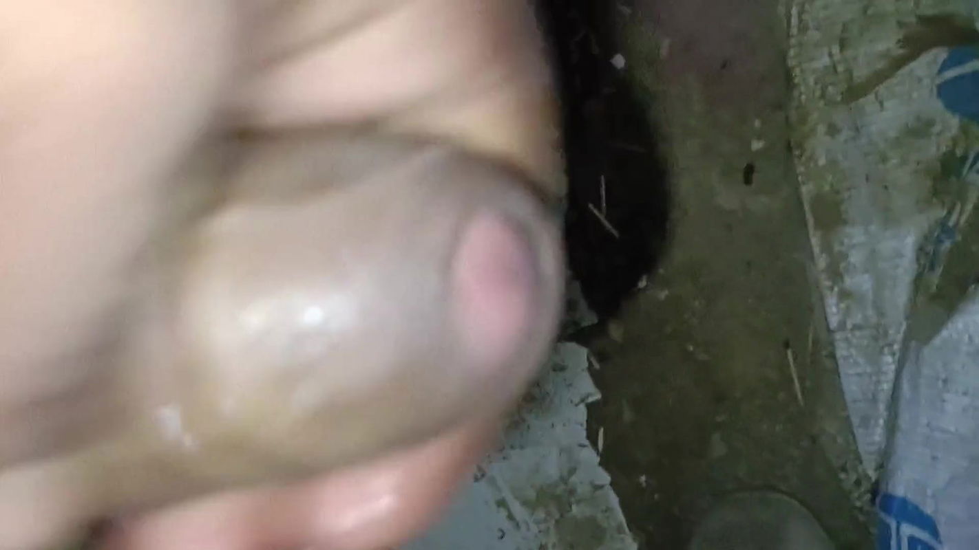 Indian hard anal dever with bhabi