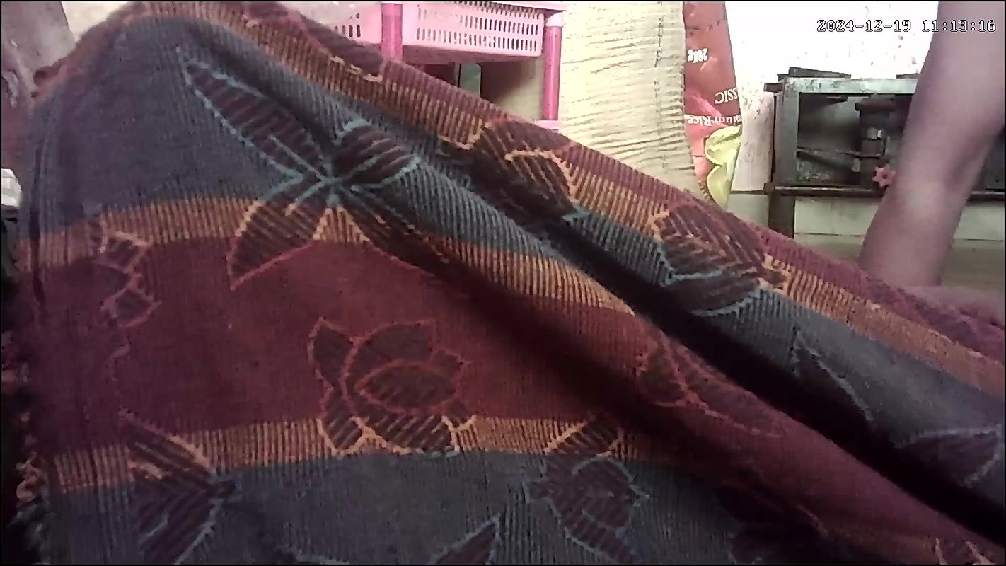 Indian desi house wife kissing